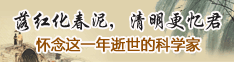 落红化春泥 清明更忆君