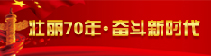 壮丽70年·奋斗新时代