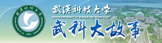 武科大故事