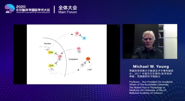 微信图片_20201026204247.jpg 微信图片_20201026204247.jpg