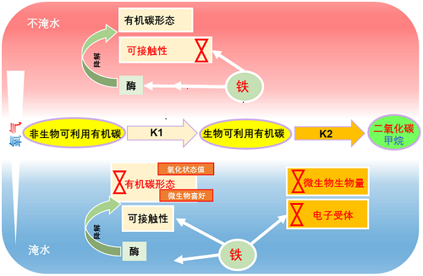 图片1葛.png 图片1葛.png