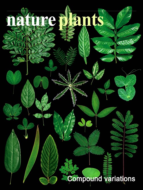 研究成果被选为Nature Plants封面故事.jpg 研究成果被选为Nature Plants封面故事.jpg
