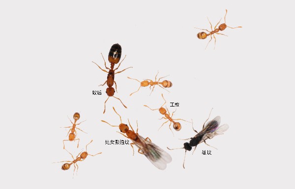 微信图片_19980101162953.jpg 微信图片_19980101162953.jpg