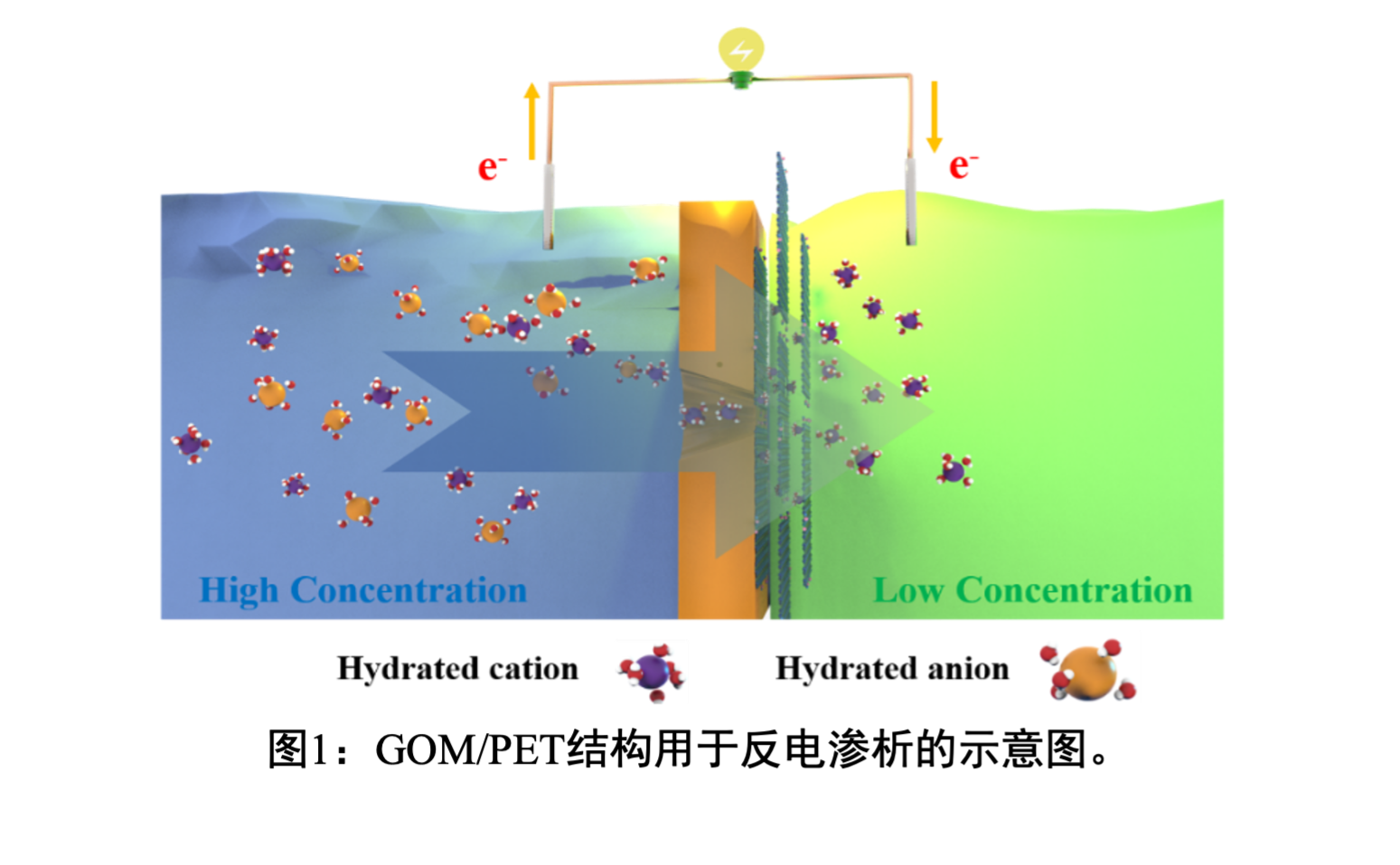 图片 1.png