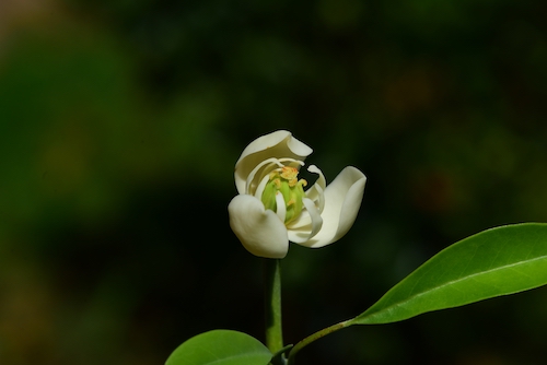 DSC_9213.JPG DSC_9213.JPG