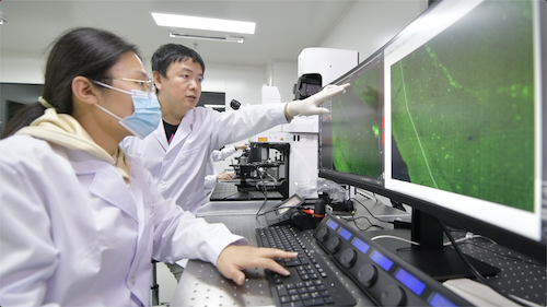 451662691733_.pic_hd的副本.png 451662691733_.pic_hd的副本.png