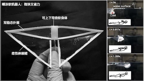 1的副本.jpg 1的副本.jpg