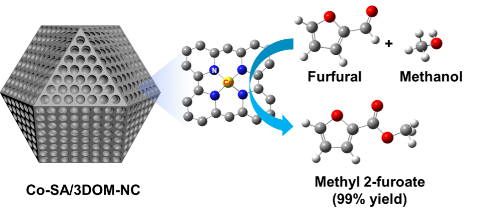图片 1.png 图片 1.png